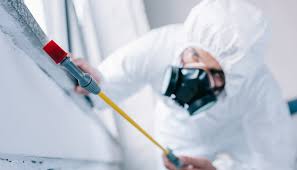 Best Residential Pest Control  in Scissors, TX